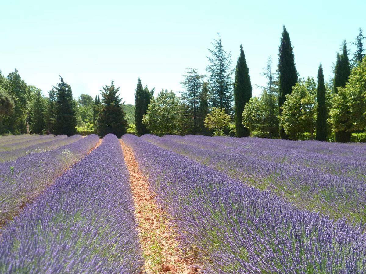Luberon & Lavandes Roussillon en Isere 外观 照片